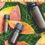 5 Fall Essential Oil Recipes for Diffuser