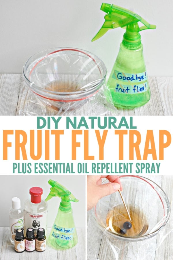 DIY Natural Fruit Fly Trap + Essential Oil Spray - Living Well Mom