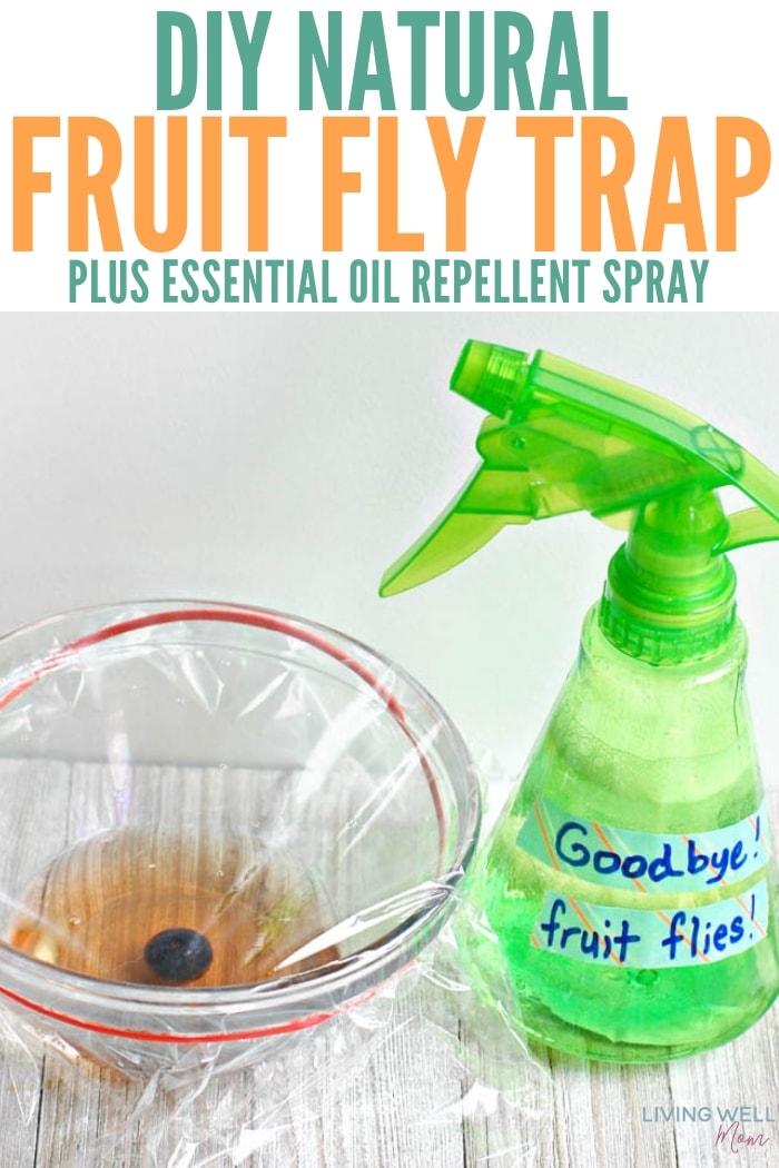 natural fruit fly trap with essential oil repellent spray