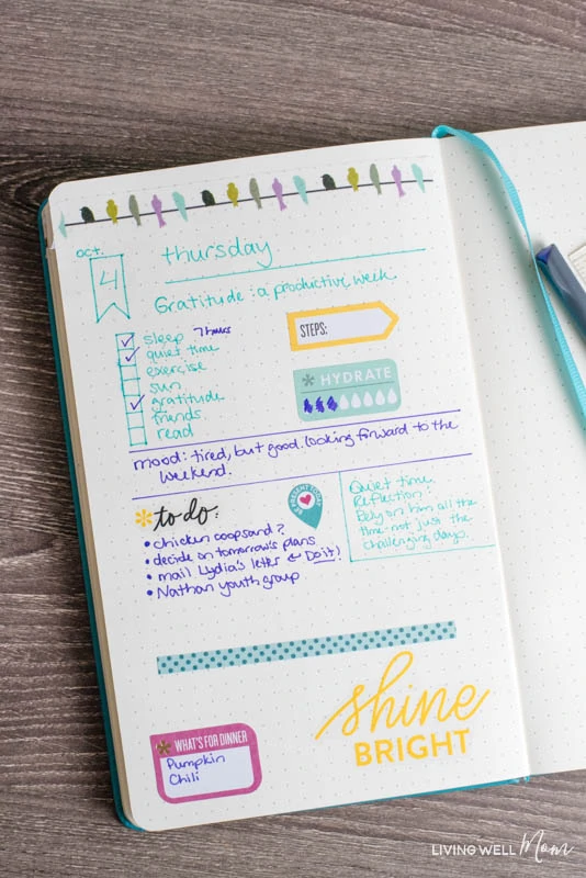 sample bullet journal ideas page layout
