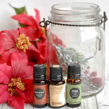 some essential oils, a spray bottle, and a glass jar