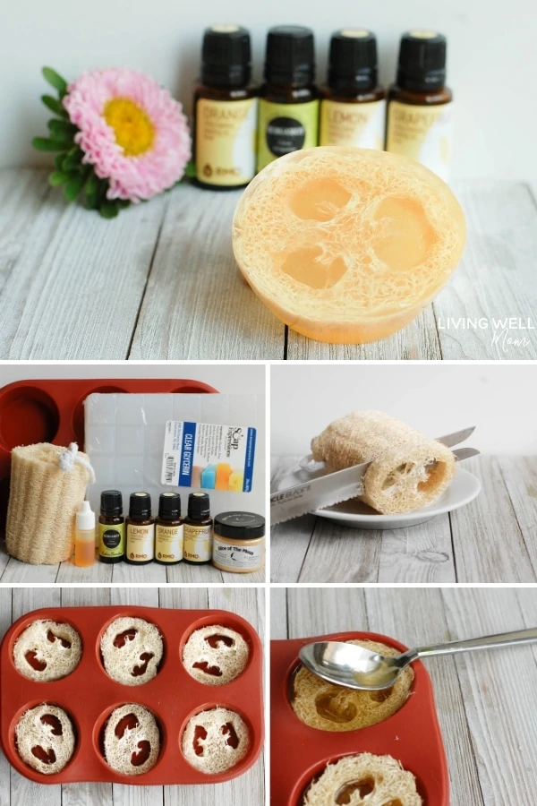 DIY melt and pour loofah soap with goat milk