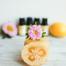 How to Make Easy Melt-and-Pour Loofah Soap-image