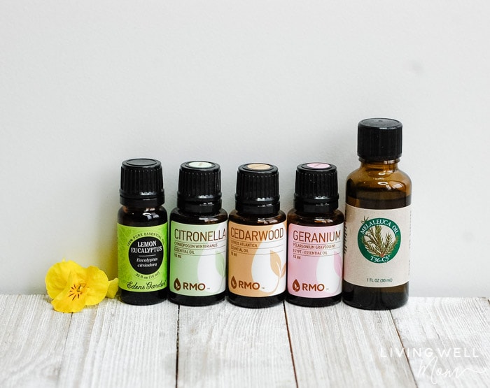 essential oils for DIY insect repellent