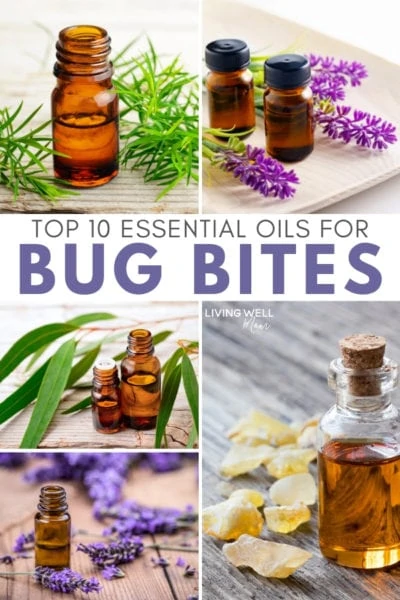 collage of essential oil pictures for bug and insect bites
