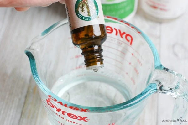 tea tree essential oil in homemade face toner with aloe vera