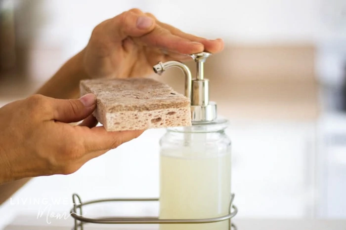 putting liquid homemade dish soap on a sponge