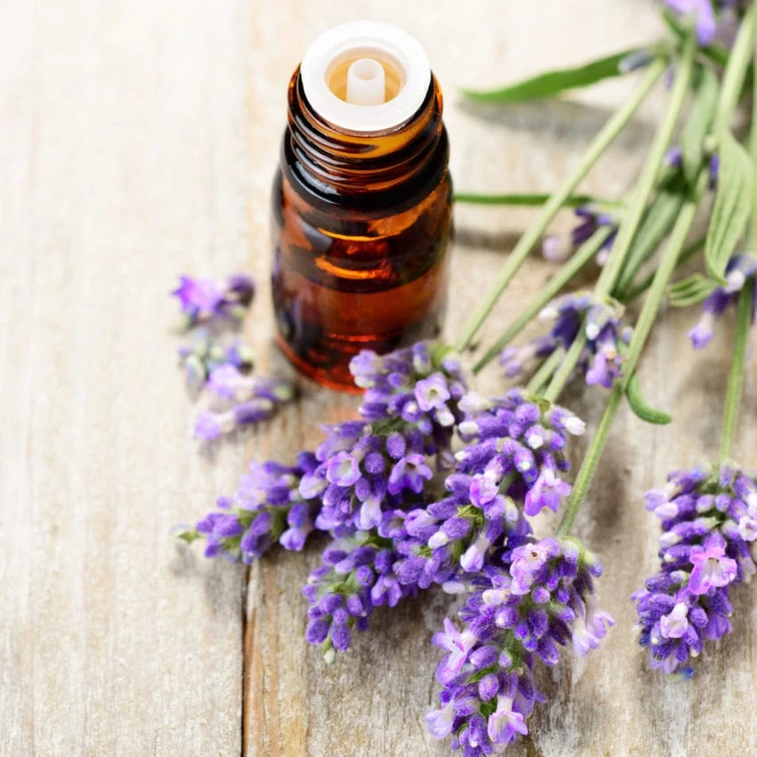 close-up of brown essential oil bottle with lavender flowers