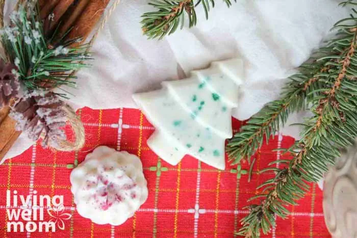 Easy Christmas Wax Melts (3 Varieties + Video) - Living Well Mom