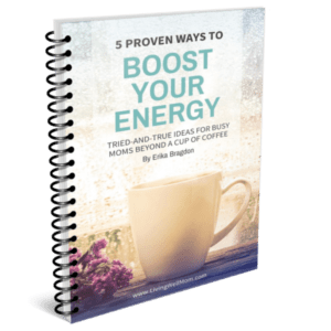 boost your energy book
