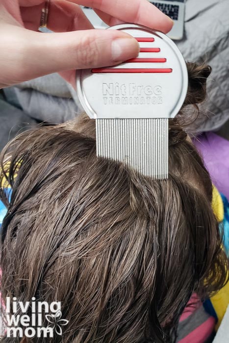 combing girl's hair with lice comb