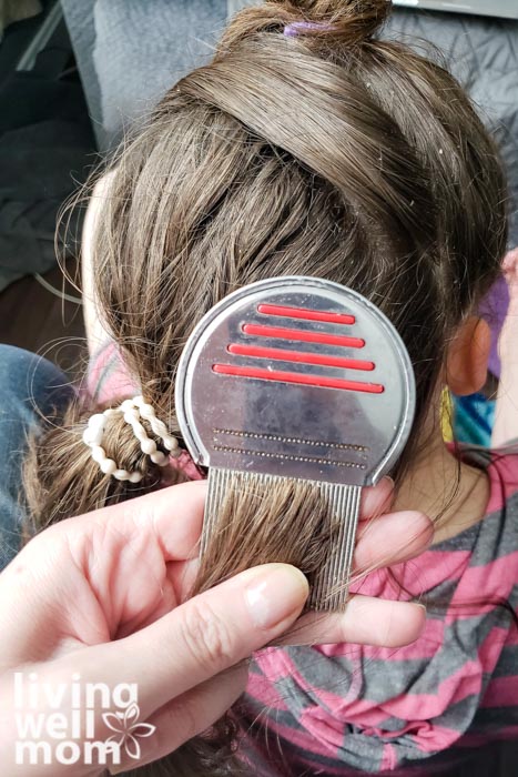 Doing a lice treatment at home with a brush before cleaning it.