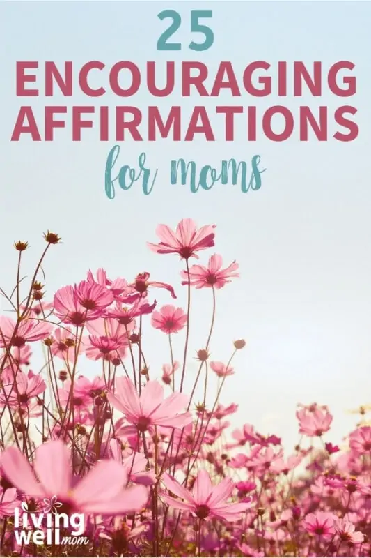 pink flowers with a sky background