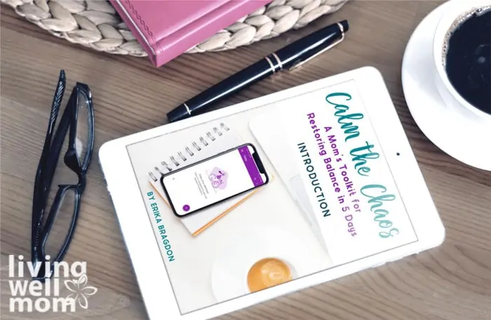 Mini course for a busy mom on an ipad