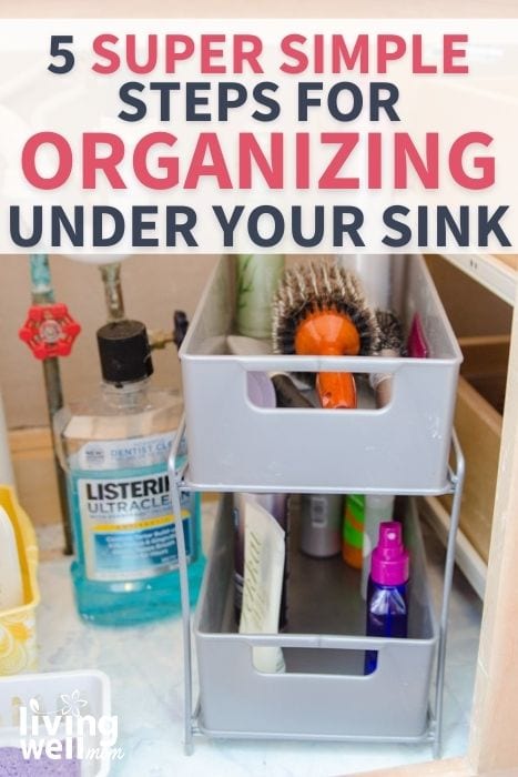 storage shelf with brushes, hair products, and more products under bathroom sink