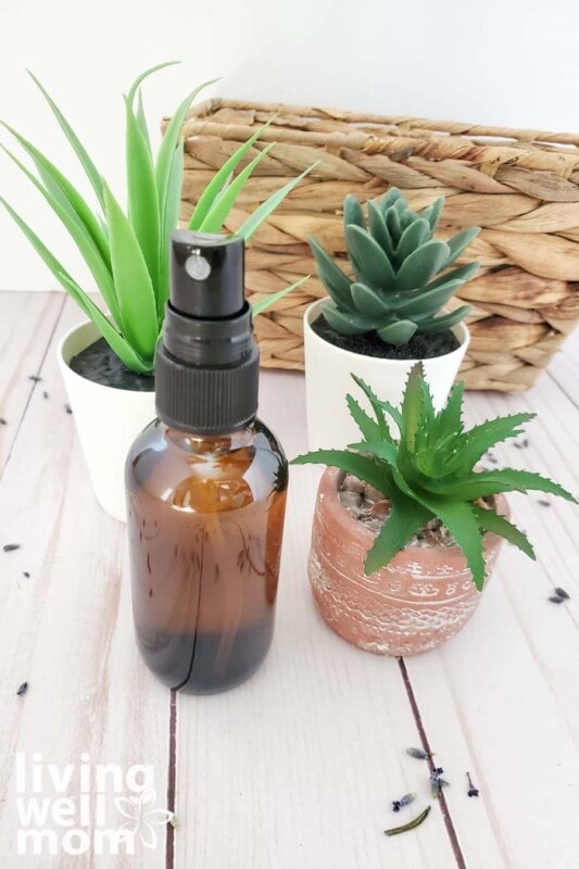 a small sprayer for essential oil recipes