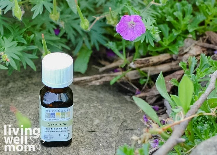 geranium oil in a labeled bottle on the ground