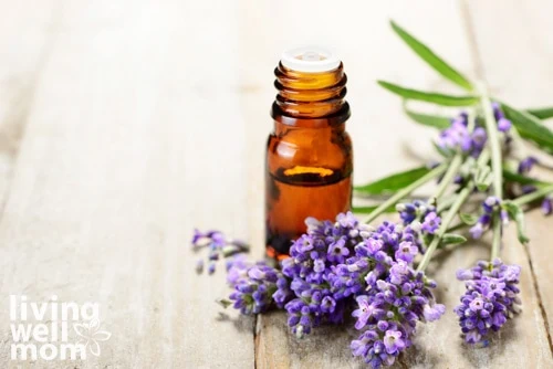 Lavender essential oil in the amber bottle, with fresh lavender flower heads.