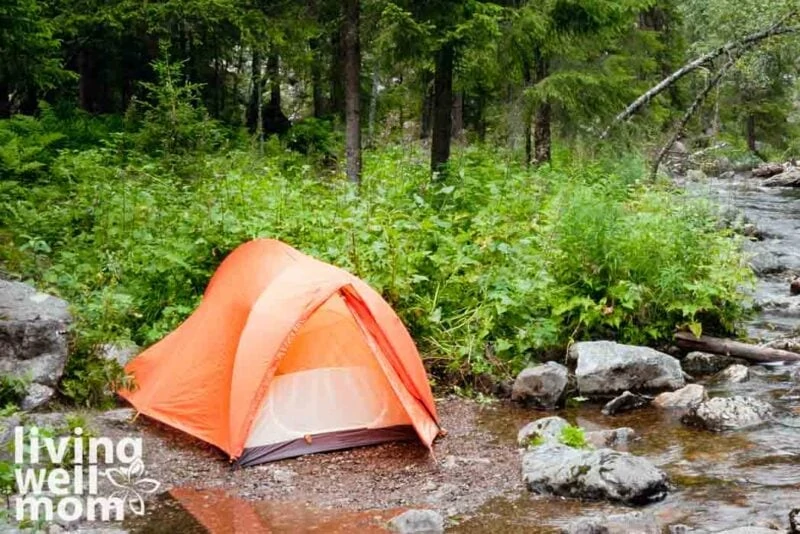 Camping in the Forest