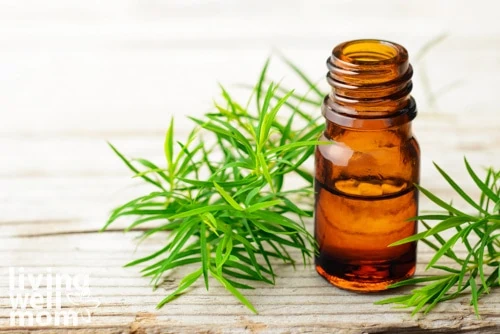 tea tree oil for camping in a dropper bottle next to fresh herbs