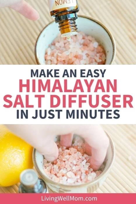 Himalayan Salt Essential Oil Diffuser/ Super Cute Oil Car Diffuser