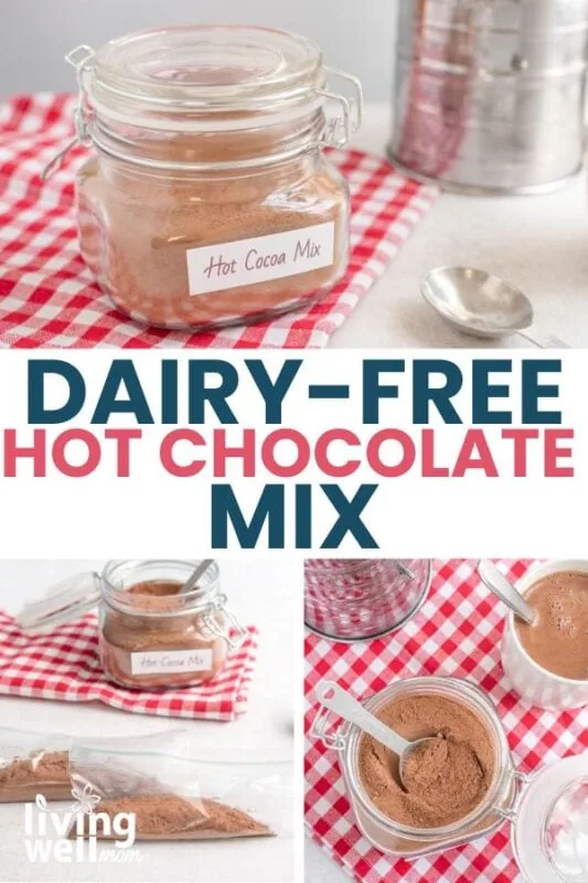 homemade dairy free hot chocolate pin