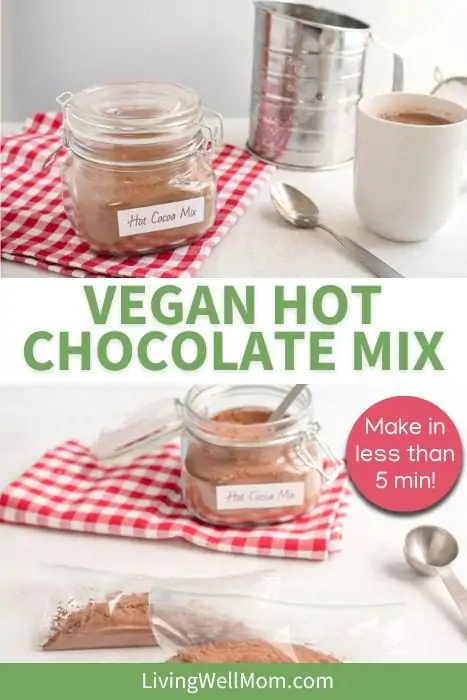 https://livingwellmom.com/wp-content/uploads/2022/11/vegan-hot-chocolate-mix.webp