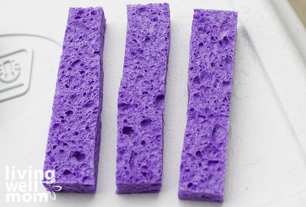 sponge cut into 3 strips