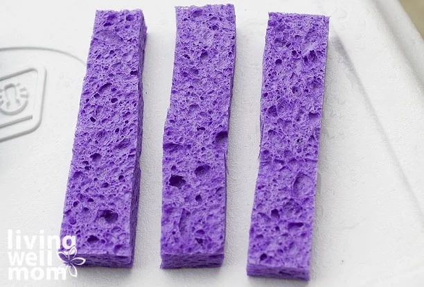 https://livingwellmom.com/wp-content/uploads/2022/12/purple-sponges.webp