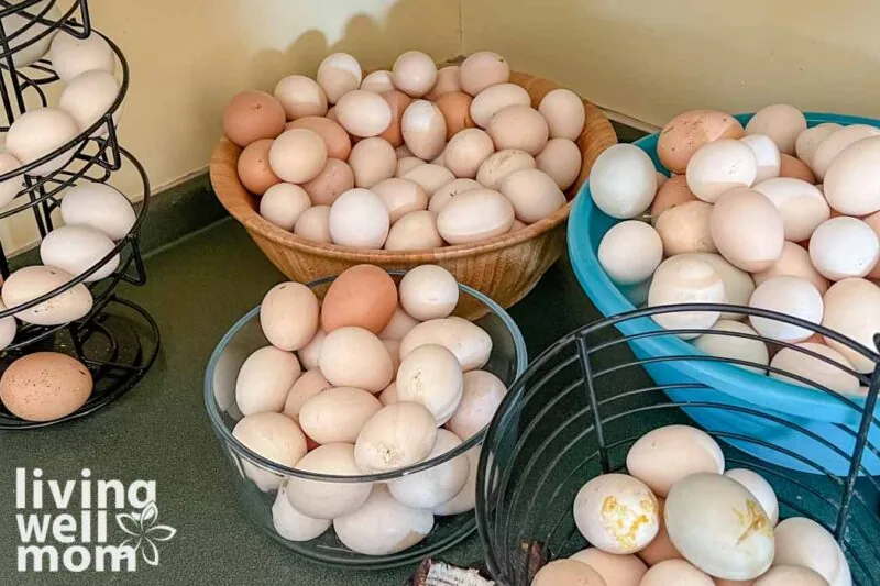 many eggs in bowls and baskets on a green counter