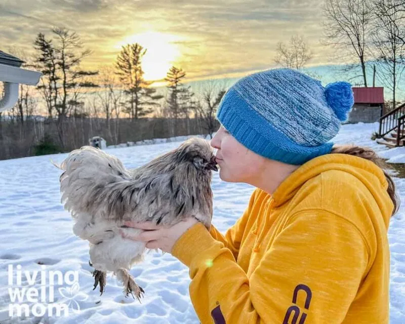 girl in yellow sweatshirt kissing a gray silkie rooster with sunset in background
