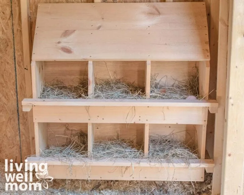 wooden chicken nest boxes with hay