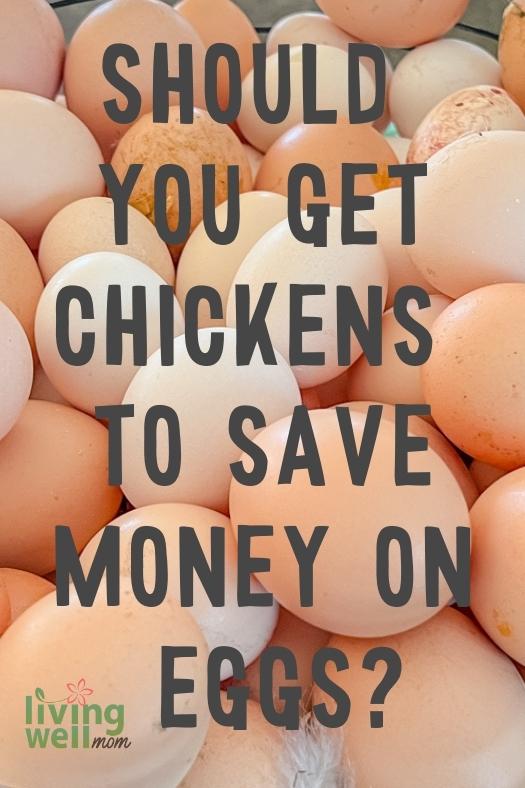 eggs in background with words should you get chickens to save money on eggs