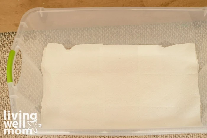 paper towels lining plastic tote