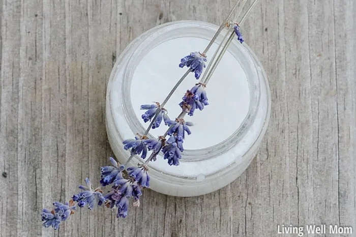 jar of coconut oil skin treatment with lavender 