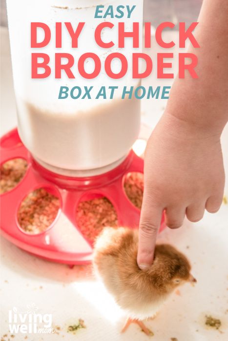 easy diy chick brooder box at home pin