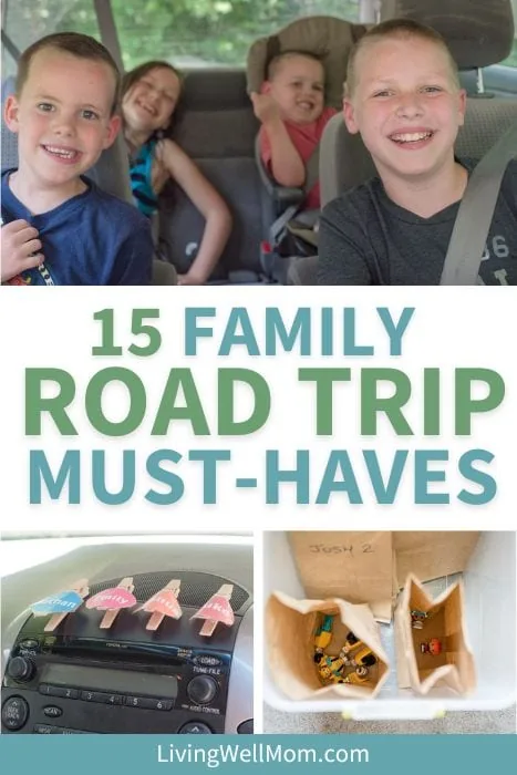 15 family road trip must-haves pin