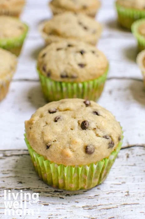 healthy muffin recipe with mini chocolate chips