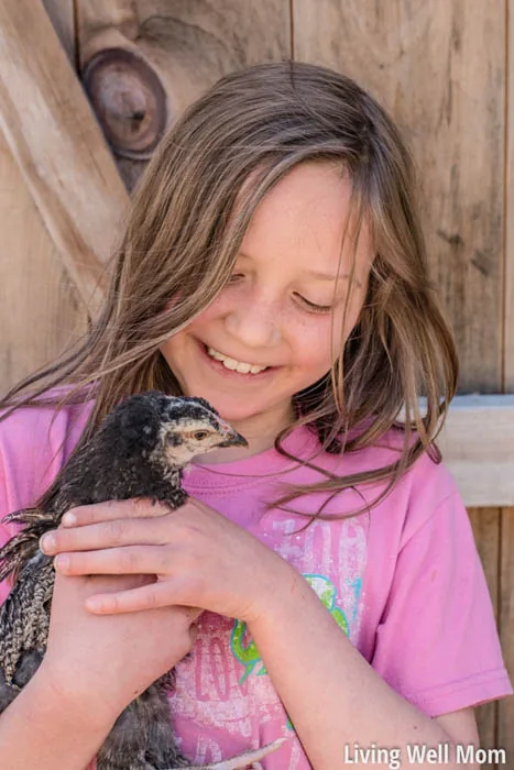 girl holding a backyard chicken
