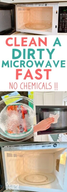 Homemade Microwave Cleaner - The Make Your Own Zone