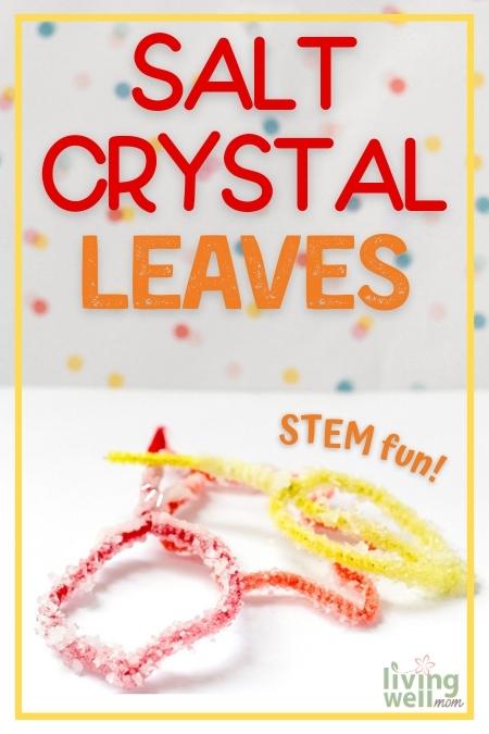 salt crystal leaves pin