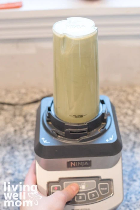 Ninja Blender Vanilla Matcha Protein Shake - Make Drinks