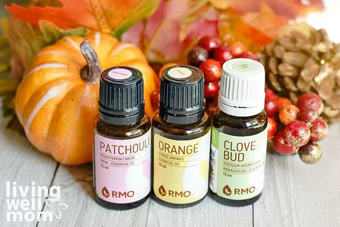 Top 12 Autumn Essential Oil Blends for Your Diffuser