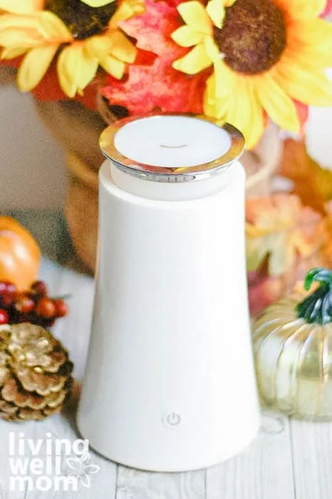 Floral Autumn Diffuser Blends and a DIY Reed Diffuser for Fall