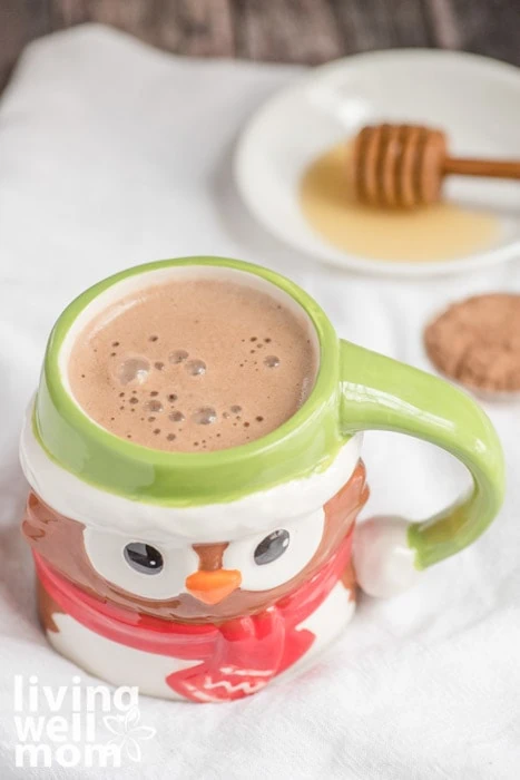 mug of healthy hot chocolate