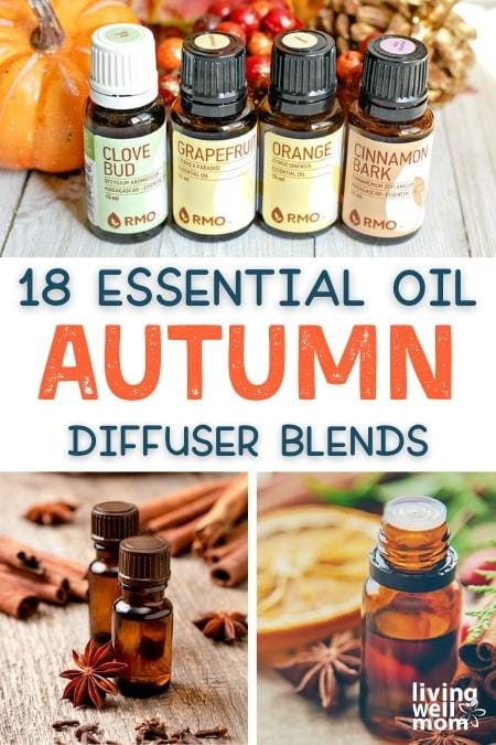 18 essential oil autumn diffuser blends