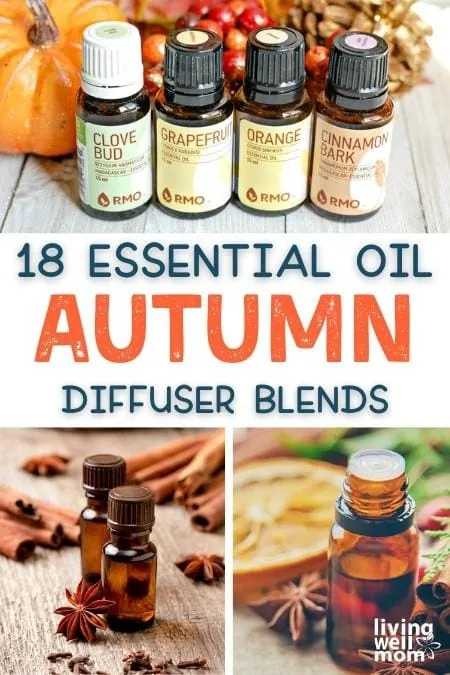 12 Amazing Fall Diffuser Blends (+ 6 Pre-Made Options)