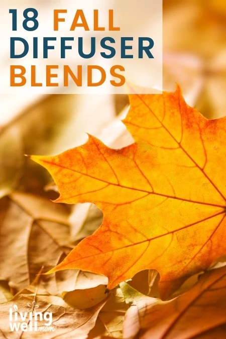 15 fall diffuser blends