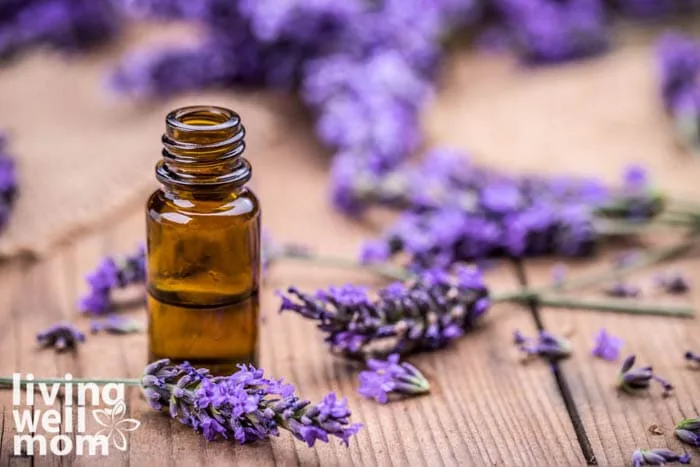 bottle of lavender essential oil