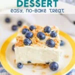 lemon blueberry dessert - easy no bake treat pin